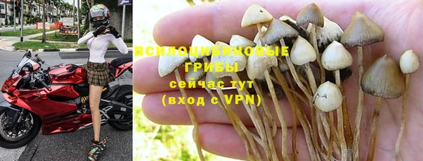 spice Новокубанск